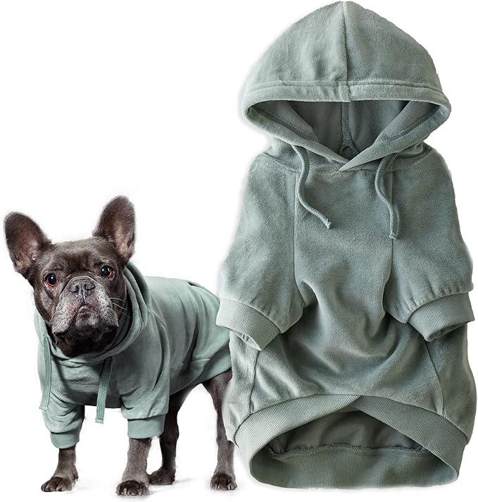 Pet Passion Cooper II Organic Cotton Velour Dog Hoodie Pet Coat for Small, Medium and Large Dogs, Sage, XX-Large (70-110 lbs)