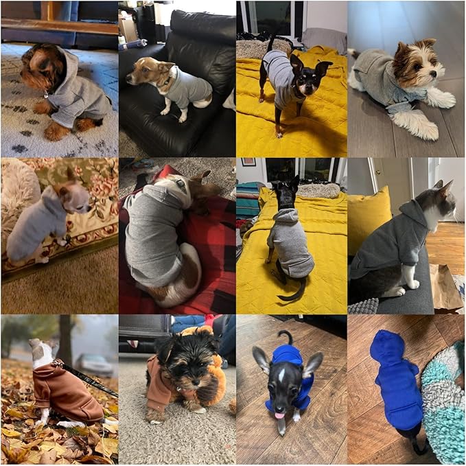Jecikelon Soft Dog Hoodies for Small Dogs, Fleece Puppy Sweatshirt with Pockets, Warm Winter Cold Weather Coats for Pet Cat, Cute Clothes Puppy Costume (Grey, Small)