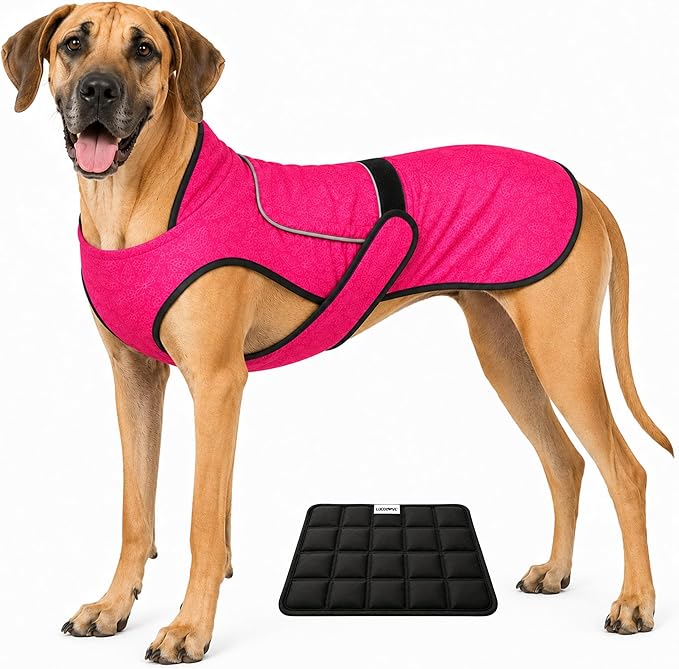 Dog Cooling Vest with Ice Pack – 2-Layer Evaporative Cooling Jacket with High Collar, UV Protection & Size-Matched Ice Pack – Cooling Vest for Dogs for Hot Weather (Pink Floral, XX-Large)