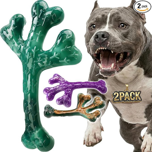 Frienhund 2 Pack Indestructible Dog Chew Toys for Aggressive Chewers - XL Textured Cactus with Grooves for Peanut Butter & Yogurt, Beef Nylon Bones for Large Dogs 20-90 lbs, Easy Chew & Long Lasting