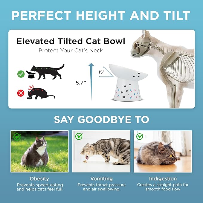 Necoichi Elevated Cat Food Bowl, Ceramic (Porcelain),15° Tilted, Whisker-Friendly, Dishwasher, Microwave Safe, Non-Slip, Anti-Vomiting, Neck Fatigue (Colorful Dots, Extra Wide Tilted, 1.5Cup Cap.)