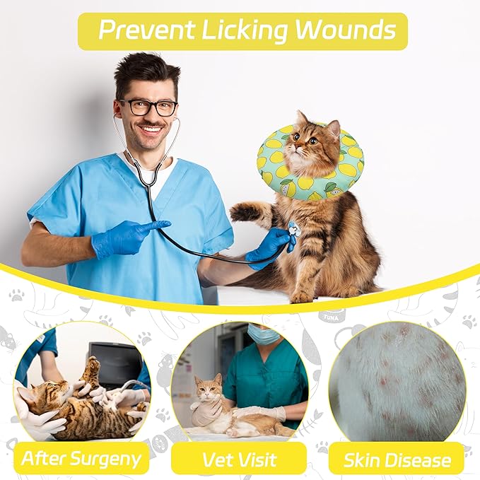 Seyezo Cat Cone Collar Soft, Adjustable Cat Recovery Collars to Prevent Licking, Cute Donut E Collar After Surgery, Anti-Lick Recovery Elizabethan Collar for Kittens(Green Lemon, Large)
