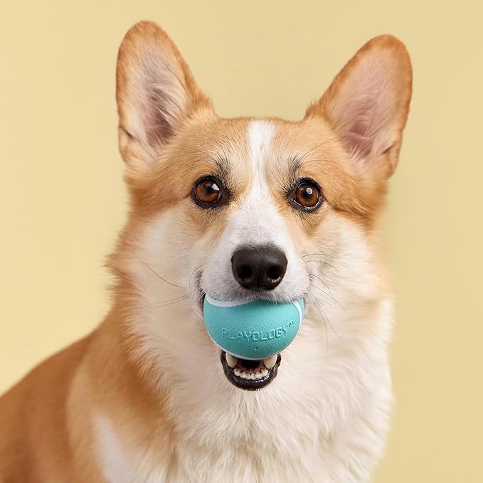Playology Dog Toys | Squeaky Chew Ball for Dogs | Peanut Butter Scented Medium Dog Ball | Bouncy Floating Chew Toys for Fetch