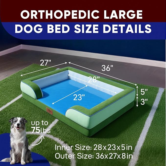Comfort Expression Orthopedic Dog Bed for Large Dogs 36x27 Inch, Waterproof Egg Crate Foam Large Pet Bed with Bolsters, Dog Couch with Washable Cover & Non-Slip Bottom, Boston