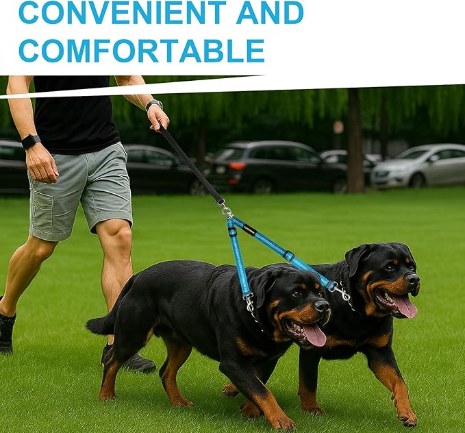 MingXpet Double Dog Leash for Two Dogs, No Pull Dog Leash, 360° Swivel No Tangle for Large Dogs Walking & Training, Shock Absorbing Reflective Bungee, Blue