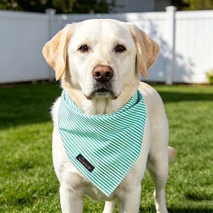 ARING PET Stripe Dog Bandanas, Cute Teal Pet Bandana Scarf Triangle Bib for Small Medium Large Boy Girl Dogs Cats, Puppy Kerchief for Daily Wear Walks Party Photos-S
