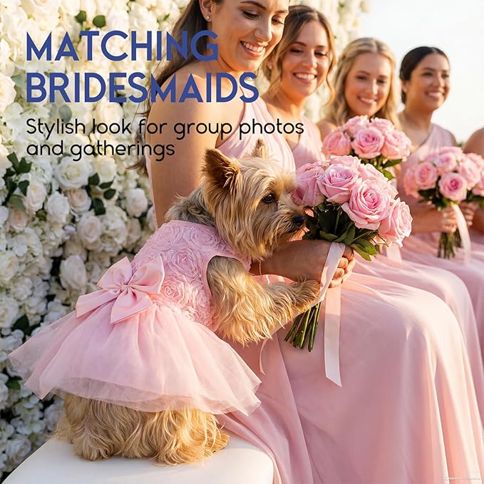 ASENKU Dog Dress Pet Wedding Dress Princess Lace Puppy Birthday Party Outfit Formal Apparel Girl for Small Medium Dogs Cats (XX-Small, Pink)