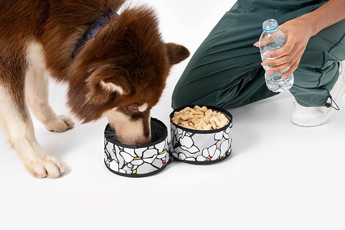 OllyDog Superbowl | Collapsible Dog Travel Bowl | 2-Compartment Food & Water | Foldable Portable Dog Dish | Hiking Camping Backpacking | Small Medium Large Dogs (Magnolia)