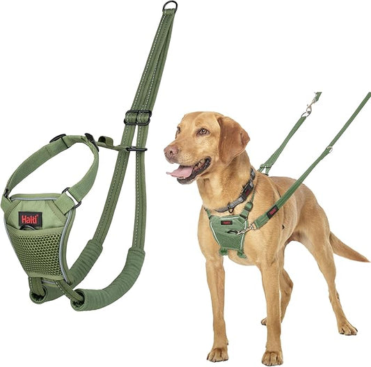 Halti No Pull Harness - Stop Your Dog Pulling on The Leash. Adjustable, Lightweight and Easy to Use. Reflective Dog Training Harness for Medium Dogs (Size M, Forest Green)