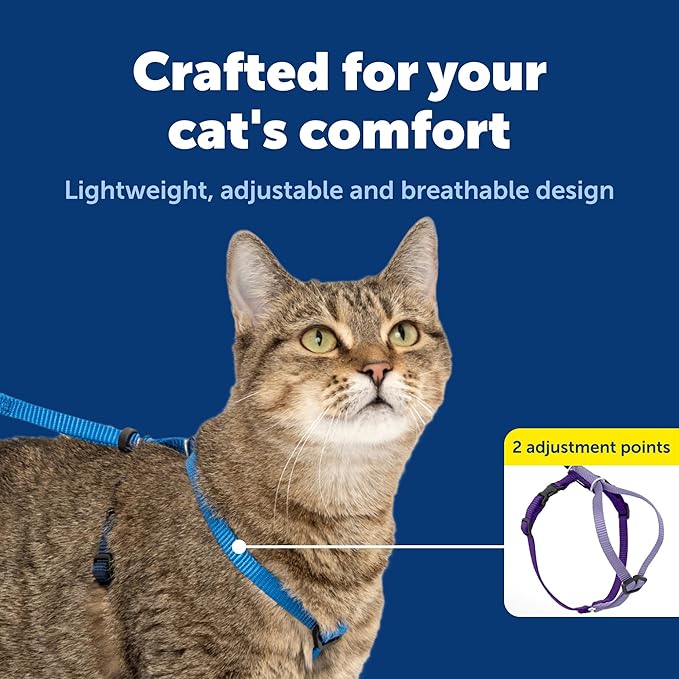 PetSafe Come with Me Kitty Harness and Bungee Leash - Medium, Royal Blue
