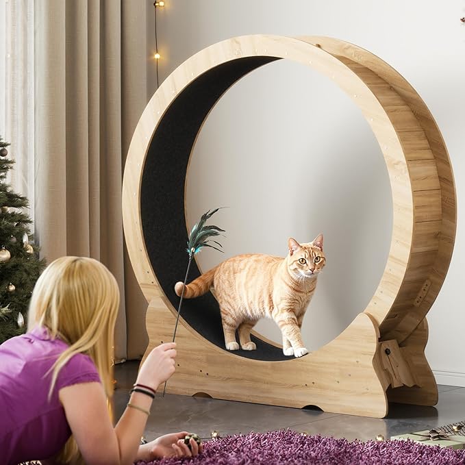 Mondeer Cat Exercise Wheel, 46'' Cat Wheel for Indoor Cats with Carpeted Runway, XL Treadmill with Removable Carpet and Teaser, for Running Walking Training (Natural Wood)
