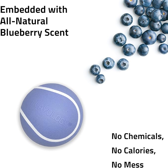 Playology Dog Toys | Squeaky Chew Ball for Large Dogs | Blueberry Scented Jumbo Dog Ball | Bouncy Floating Chew Toys for Fetch