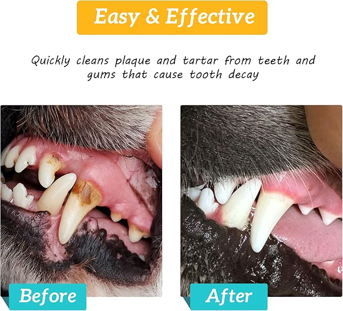 Pet Dental Finger Wipes, Dog & Cat Teeth Cleaning, Plaque Control & Breath Freshening, Regular Size, Suitable for Pet Toothbrushes (50 Count)