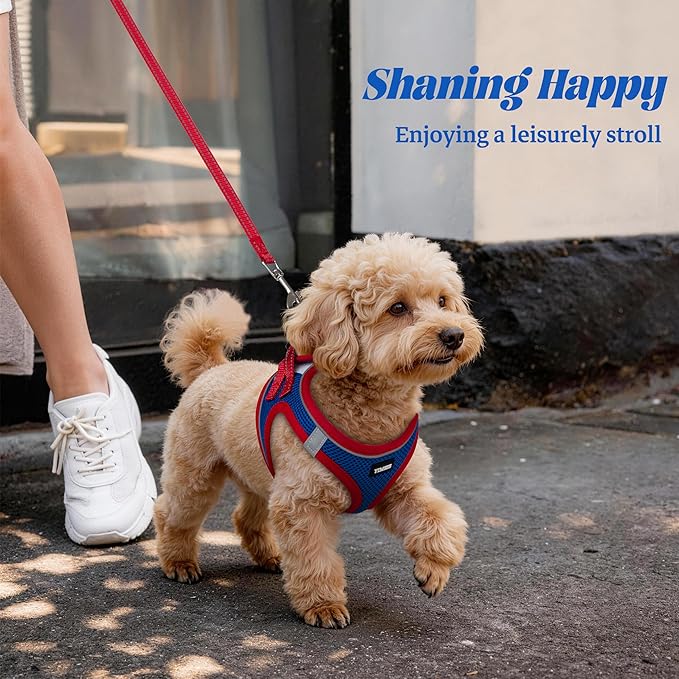 YIMEIS Dog Harness and Leash Set, No Pull Soft Mesh Pet Harness, Reflective Adjustable Puppy Vest for Small Medium Large Dogs, Cats (Red & Blue, Medium (Pack of 1)