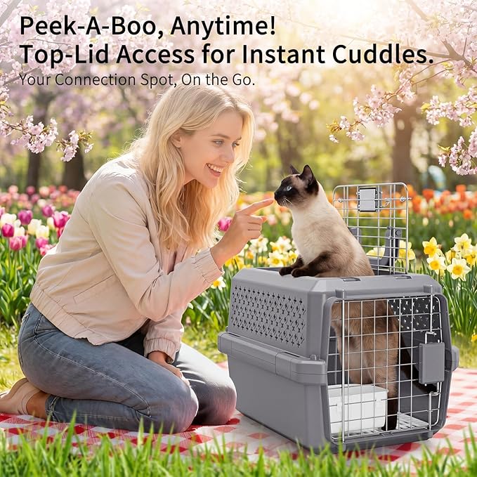 RIZZARI Portable Cat Carrier for Small Cats & Dogs:Secure Hard-Sided Pet Carrier with Ventilation - Metal Door & Carry Handle for Travel - Vet Visits & Daily Use (Gray, X-Small)