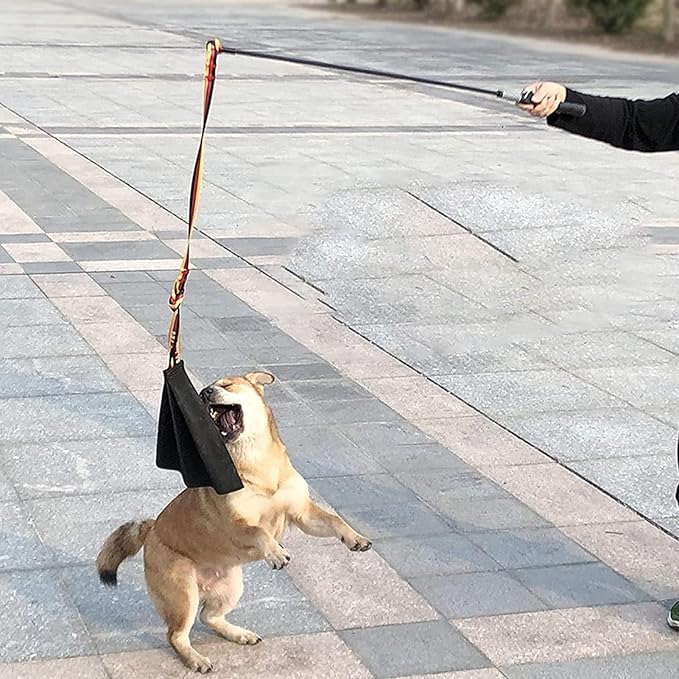 Dog Bite Rag, Leather Interactive Tug of War Toy with Handle for Dog Training, Training Supplies, Flirt Pole for Dogs, Agility Equipment for K9