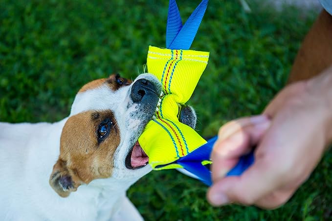 Dog Bite Tug Toy with 2 Strong Handles (2-Pack) - Tough, Durable Fire Hose Dog Tugs for Medium to Large Dogs - Ideal for Tug of War, Fetch, Puppy Training & Fun Interactive Play - Handmade Pull Toys