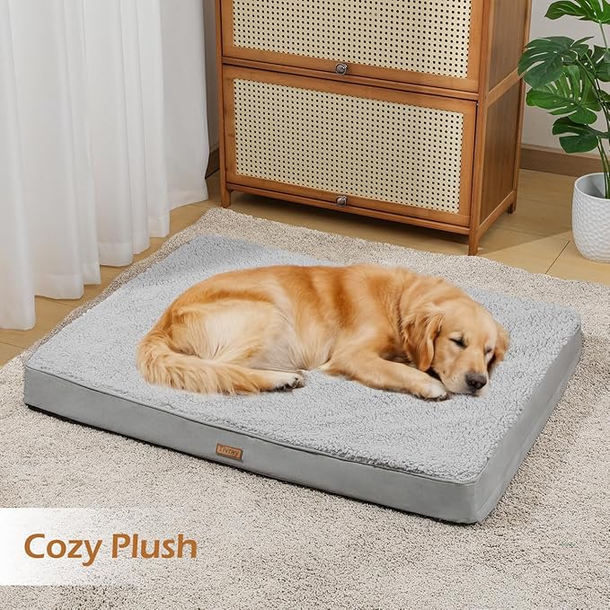 Dog Bed Cover, Washable Replacement Large Dog Bed Sheet with 3-Sided Continuous Zipper, Waterproof Liner, Soft Plush, Pet Mattress Fluffy Protector, 41x27x3 inches - M, Cover Only Grey