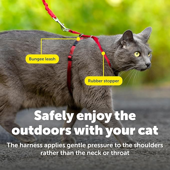 PetSafe Come with Me Kitty Harness and Bungee Leash Adjustable, Lightweight Harness for Cats Small, Red