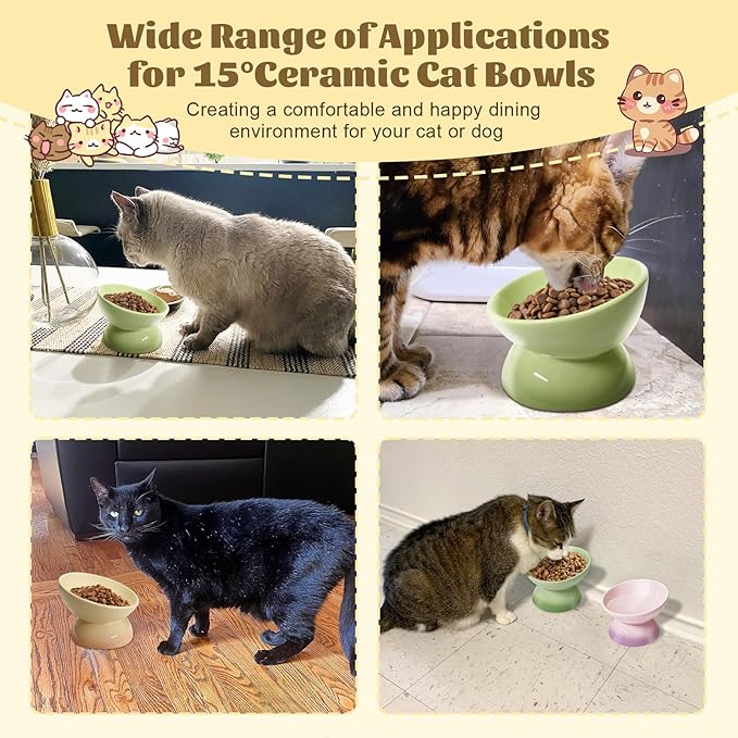4Pcs Ceramic Raised Cat Bowl Elevated Cat Bowls Tilted Cats Food Dishes Pet Bowl Stand Feeder Cute Cats Bowl for Kittens Puppies Small Dog Whisker Fatigue Protect Kitten Spine(Gradient Color)