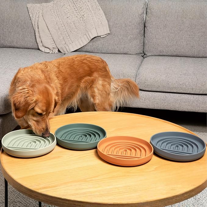 Should We Go? Slow Feeder for Dogs & Puppies, The Slowdown Bowl Silicone Slow Eating, Lick Mat Design, Reduces Gulping, Fits 2.5 Cups, 9.5” Across x 1.5” Tall, Mealtime Challenge, Large-Terracotta