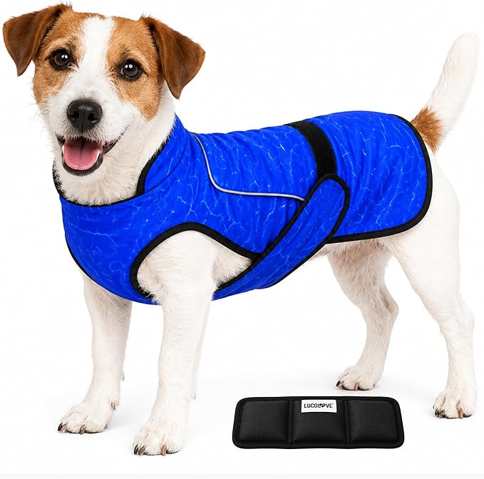 Dog Cooling Vest with Ice Pack – 2-Layer Evaporative Cooling Jacket with High Collar, UV Protection & Size-Matched Ice Pack – Cooling Vest for Dogs for Hot Weather (Blue Aqua, Small)