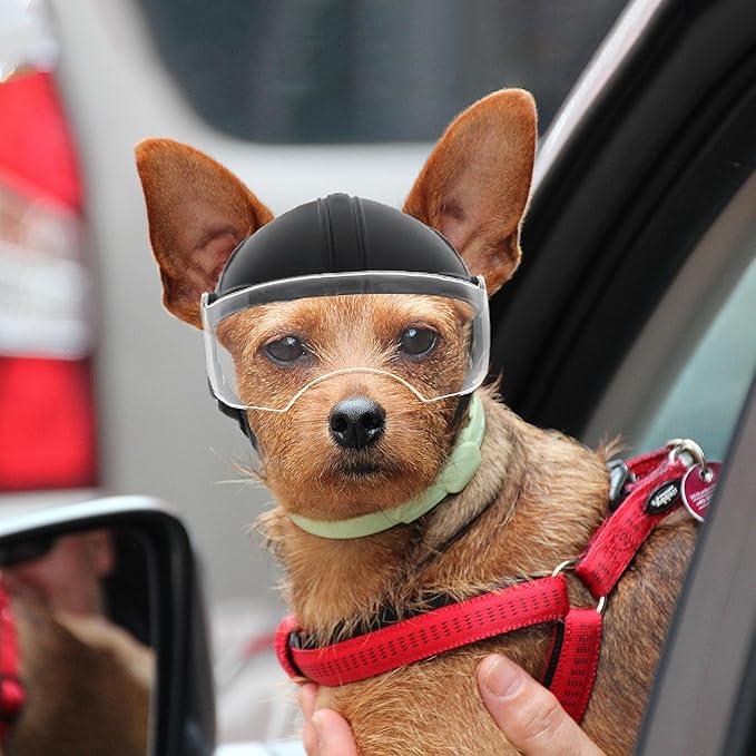 Small Dog Helmet, Pet Motorcycle Helmet with Ear Holes, Adjustable Pet Safety Hat with Flip-Up Clear Visor, Small-Medium Puppy Heads Protection, Non-Spiked