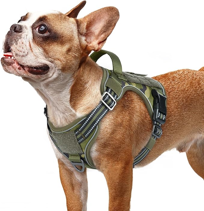rabbitgoo Dog Harness for Small Dogs No Pull, Tactical Service Pet Vest with Molle and Control Handle, Adjustable and Reflective Military Harness for Easy Walking and Training, Green Camo, S