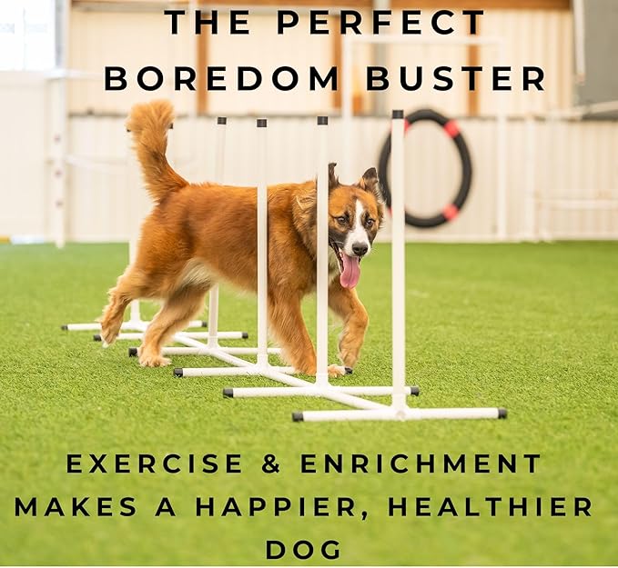 Better Sporting Dogs Elite Agility Set for Dogs w/Safety-Focused Features | 7Pc Agility Kit | (2) Bar Jumps w/Cup Strips | Breakaway Tire Jump | 6 Weave Poles | (2) 10’ Tunnel & Sandbags | Pause Box