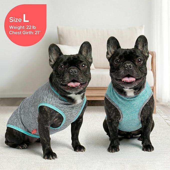 KYEESE 2 Pack Dog Shirts Quick Dry Soft Stretchy Pet T-Shirts with Reflective Label Tank Top Sleeveless Vest Sun Protection Dog Clothes for Small Dogs, Medium, Grey+Blue