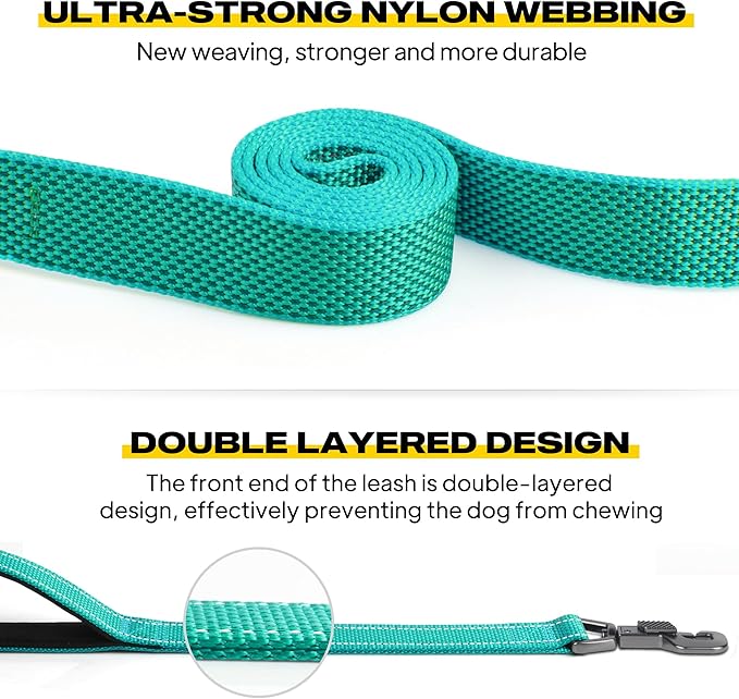 Fida 4 FT Heavy Duty Dog Leash with 2 Comfortable Padded Handles, Traffic Handle & Advanced Easy Snap Hook, Reflective Walking Lead for Large, Medium & Small Breed Dogs, Teal