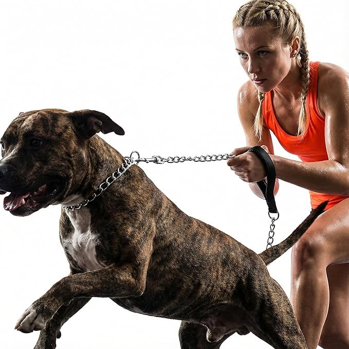 Heavy Duty Dog Leash,Metal Dog Chain Leash with Padded Handle for Large & Medium Size Dogs (4 ft. x 3.0 mm (0-80 lbs.))