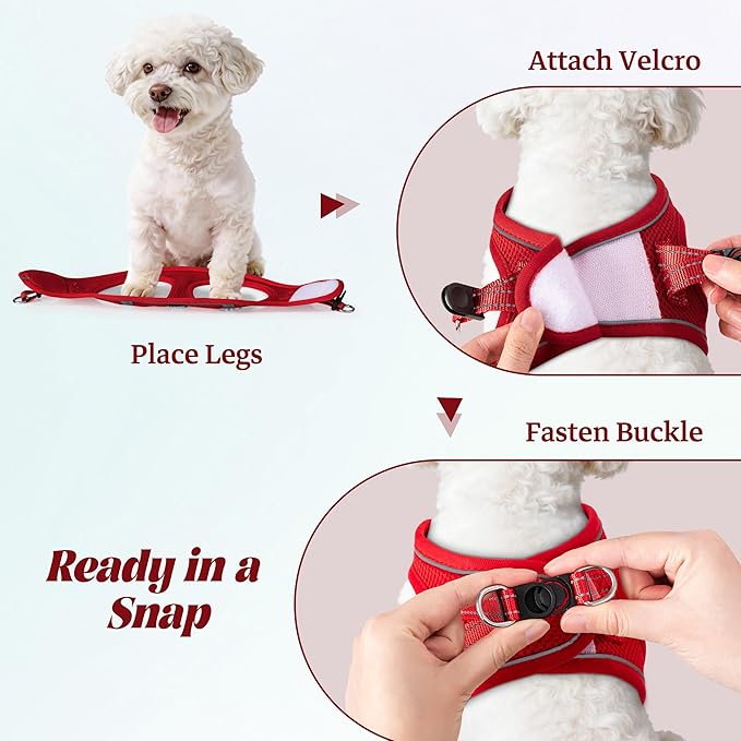 YIMEIS Dog Harness and Leash Set, No Pull Soft Mesh Pet Harness, Reflective Adjustable Puppy Vest for Small Medium Large Dogs, Cats (Red 02, Small (Pack of 1)