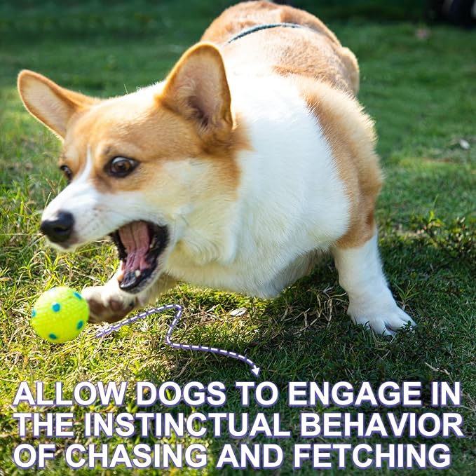 Dog Toy Balls for Small Dogs & Puppies, Chew & Chase Interactive 2” Soft Latex Balls, Durable Dogs Play Balls for Indoor/Outdoor (6 Pcs)