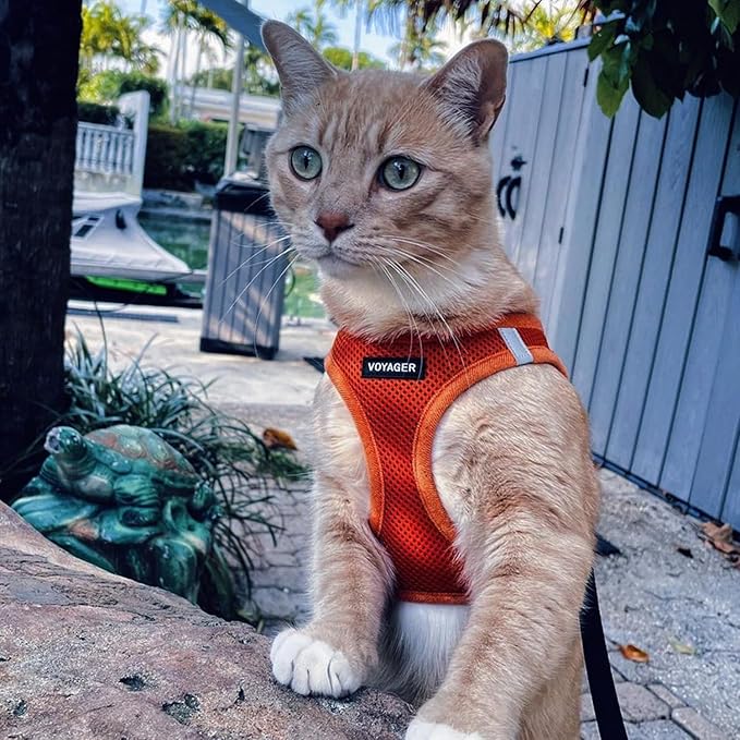Best Pet Supplies Voyager Step-in Air All Weather Mesh Harness and Reflective Dog 5ft Leash Combo with Neoprene Handle, for Small, Medium and Large Breed Puppies - Set (Orange), XX-Small