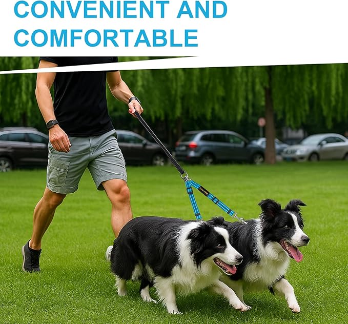 MingXpet Double Dog Leash for Two Dogs, No Pull Dog Leash, 360° Swivel No Tangle for Medium Dogs Walking & Training, Shock Absorbing Reflective Bungee, Blue
