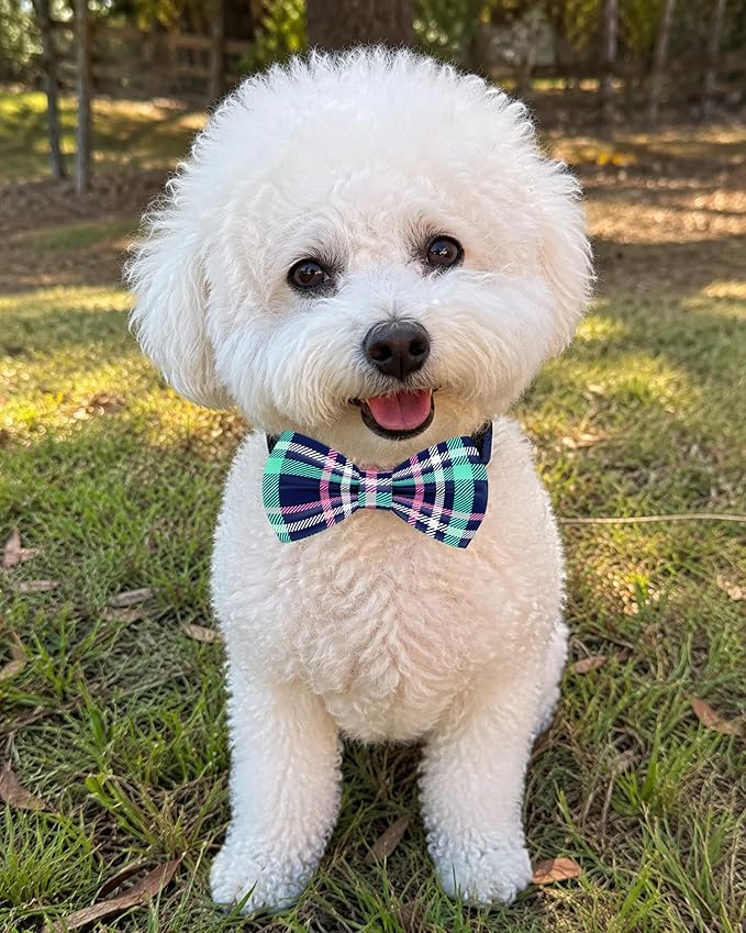PET SHOW 10 Pack Plaid Small Dog Bow Ties Sliding Collar Attachments Puppy Cats Classic Bowties for Medium Dogs Rainbow Bowknots Birthday Party Holiday Pet Grooming Accessories(Small)