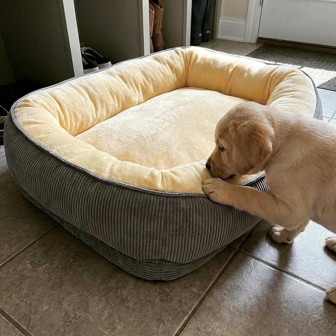 Calming Dog Bed for Medium Dogs 26"x18" - Orthopedic Washable Pet Bed with Anti-Slip Bottom, Indoor Soft Cat Bed with Removable Cover (Beige)