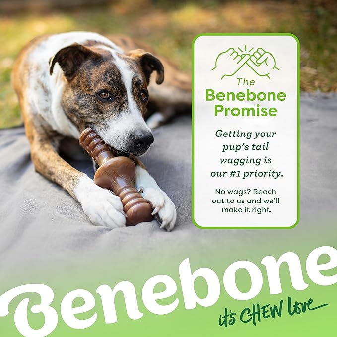 Benebone Zaggler Rolling Dog Chew Toy for Aggressive Chewers, Real Chicken, Made in USA, Medium