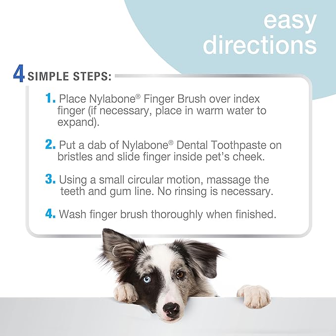 Nylabone Advanced Oral Care Finger Brush 2 Count One Size