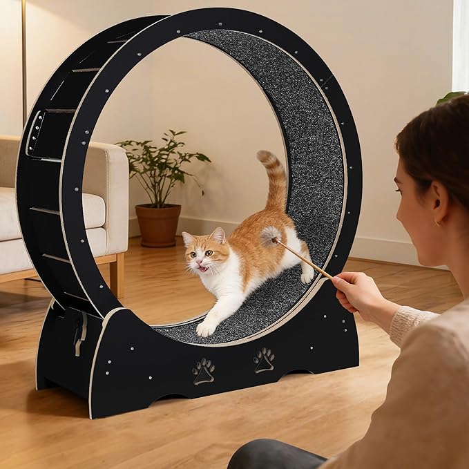 GarveeLife Cat Exercise Wheel, Wooden Cat Running Treadmill with Carpeted Runway for Indoor Cats, Low Noise Removable Carpet Cat Wheel for Kitty Running Walking Training