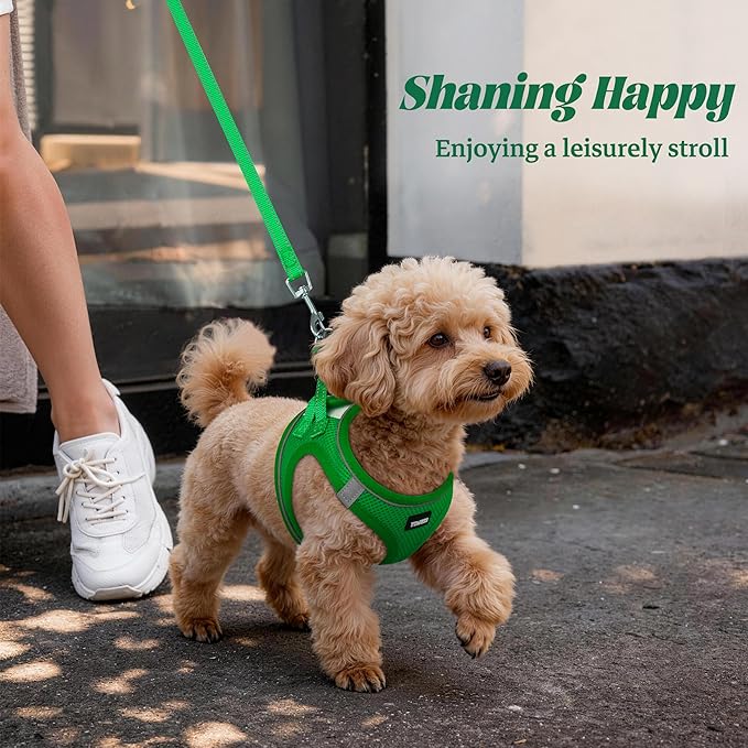 YIMEIS Dog Harness and Leash Set, No Pull Soft Mesh Pet Harness, Reflective Adjustable Puppy Vest for Small Medium Large Dogs, Cats (Green, X-Small (Pack of 1)