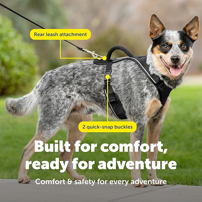 PetSafe EasySport Dog Harness Adjustable, Padded Dog Harness with Control Handle and Reflective Piping Medium, Black