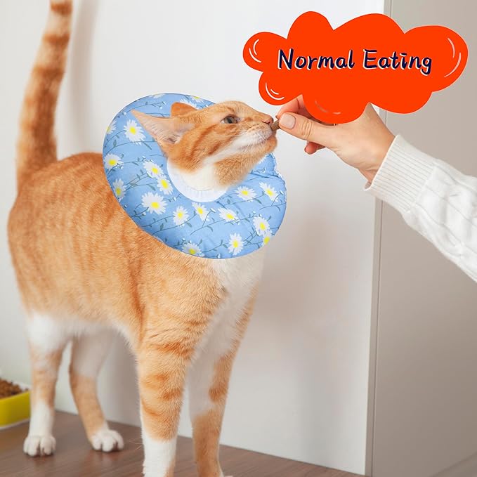 Seyezo Cat Cone Collar Soft, Adjustable Cat Recovery Collars Kitten Cones to Stop Licking, Cute Donut E Collar After Surgery, Anti-Lick Recovery Elizabethan Collar for Kitten(Blue Daisy, Medium)