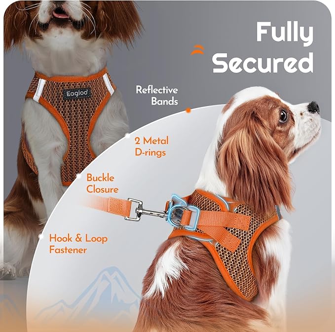 Eagloo Small Dog Harness and Leash Set, Step in Puppy Vest with Breathable Soft Mesh, Walking Reflective Pet Harness for Small Dogs, Orange, S