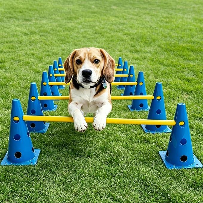 12 Sets Dog Agility Hurdle Cone Set, 3 Height Adjustable Backyard Agility Course Equipment for Beginners, Puppies & Dog Rehabilitation Training（Blue）