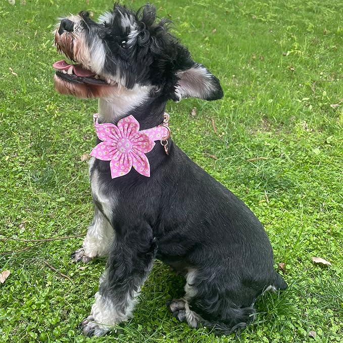 Summer Dog Collar with Pink Daisy Flower, Medium, Pink, Cotton, Buckle Closure