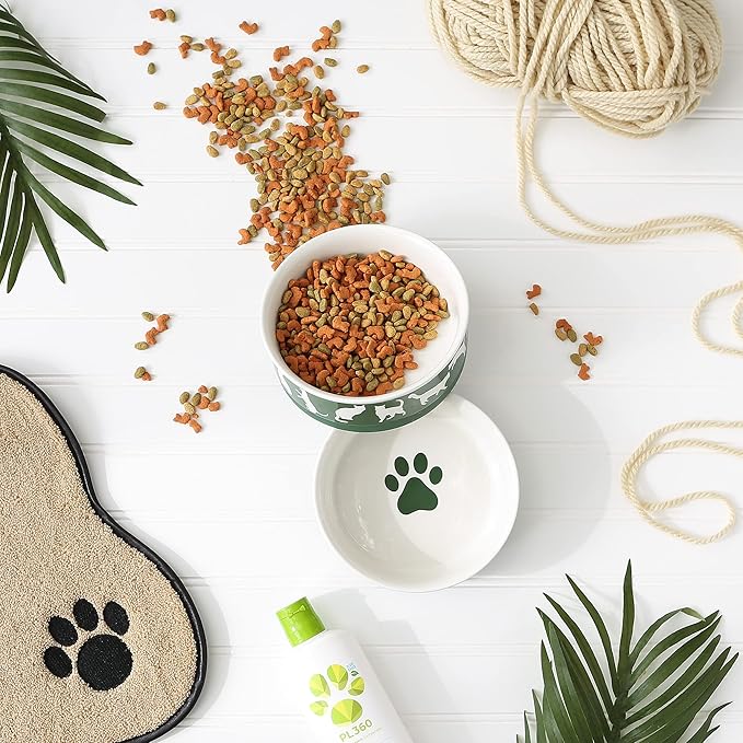 Bone Dry Ceramic Cat Bowls, Microwave & Dishwasher Safe, Medium Set, 6x2, Hunter Green, 2 Count