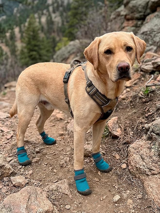 Dog Shoes Breathable Non-Slip Outdoor Booties for Small Medium Dogs, Pet Boots Paw Protector for Hot Pavement Hardwood Floors (Blue, Large)