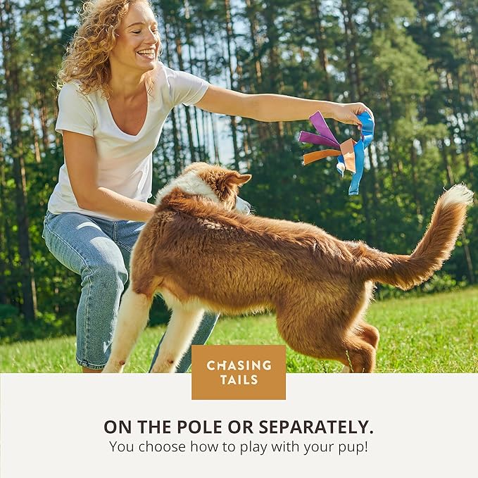Chasing Tails Flirt Pole for Dogs Heavy Duty - 36 Inch Flirt Pole for Large Dogs with Extendable 83 Inch Rope | Two Toys Included | Suitable for All Breeds | Pets Play Equipment